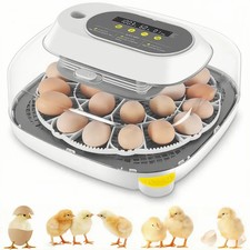 Incubatrice incubatrice