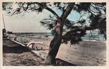 17 SAINT TROJAN LES BAINS VUE