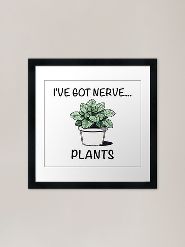 Got nerve piante - i've,