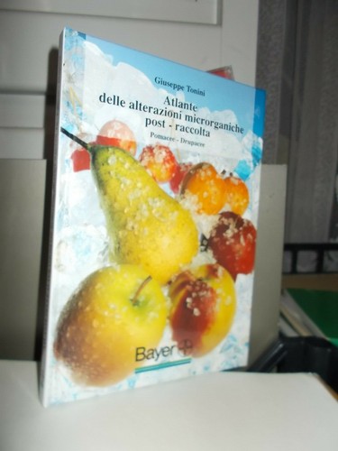 Alterazioni microrganiche post - alterazioni,