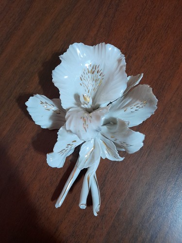 Bouquet fiori in - fiori,