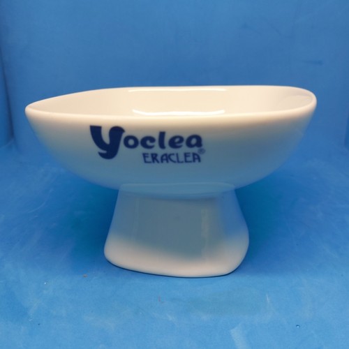 Yoclea eraclea porcellana - yoclea,