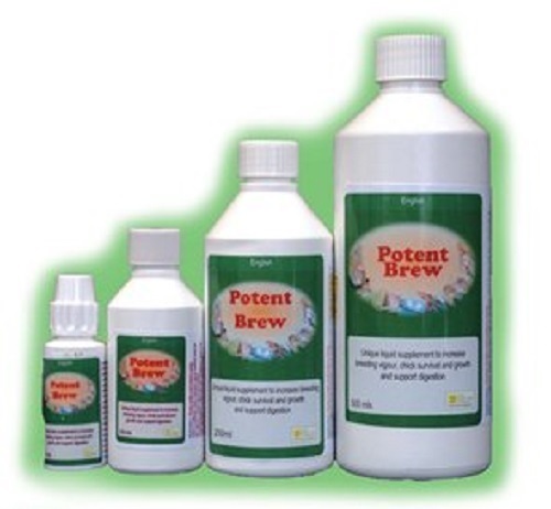 Potent brew integratore - potent,
