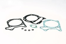 MALOSSI 1113960B GUARNIZIONI