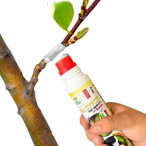 Mastice innesti con rame - mastice,