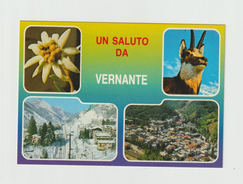 Saluto vernante cuneo - saluto, da