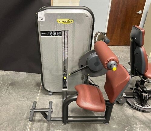 Technogym element lower back - technogym,