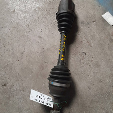 50515474 Semialbero ant