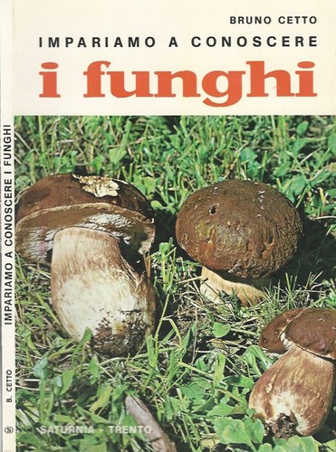Impariamo conoscere i - a,