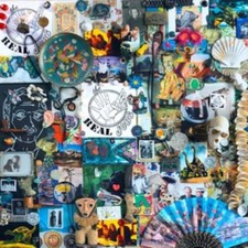 Real Jobs - Droolers LP Vinyl