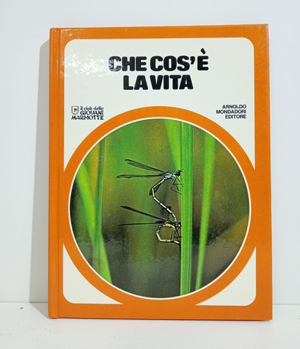 50622 lb22 club delle - 50622,