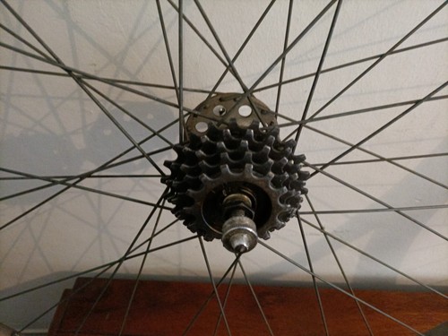 Vendo coppia ruote nisi - vendo,
