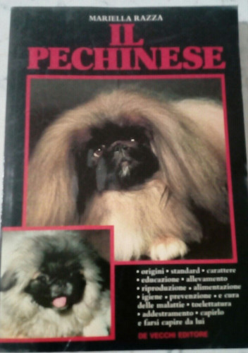 Pechinese animali - pechinese,