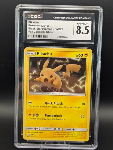 Pikachu sm227 fall - sm227,