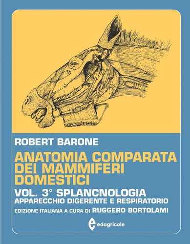 Anatomia comparata dei