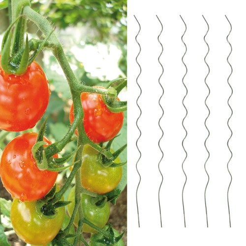 Supporti per pomodori - 5x,