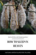 Fibra di cotone naturale Kapok