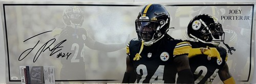 Pittsburgh steelers joey - pittsburgh,
