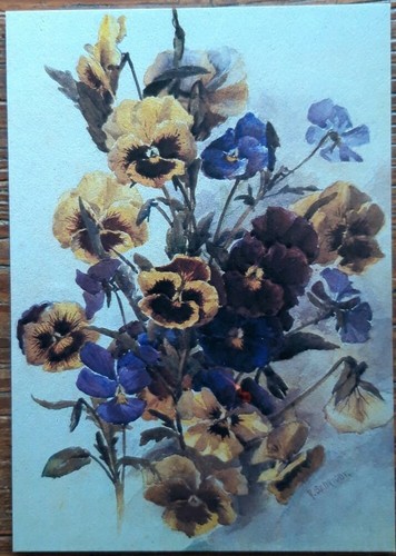 Flower postcard pansies - flower,