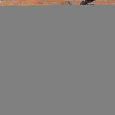 Per HARLEY-DAVIDSON XL883R