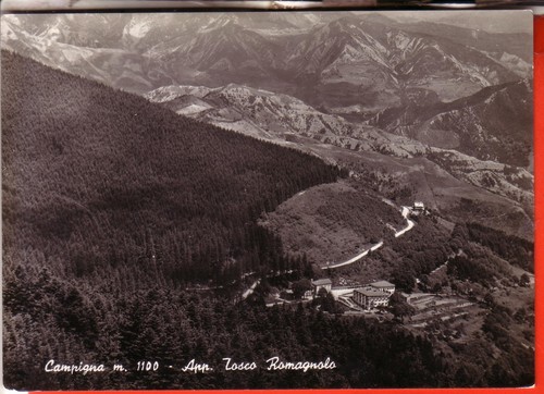 Cartolina campigna sofia - s.,