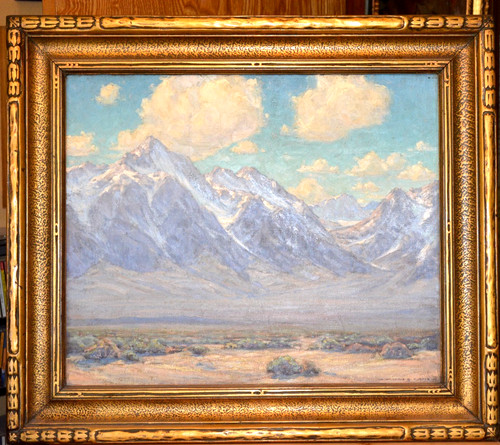 Bellissimo paesaggio desertico