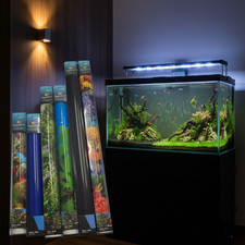 Sfondo per acquario AquaDella