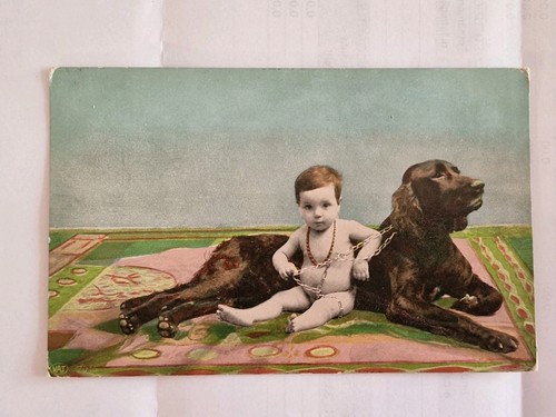 Cartolina bimbo con cane - bimbo,