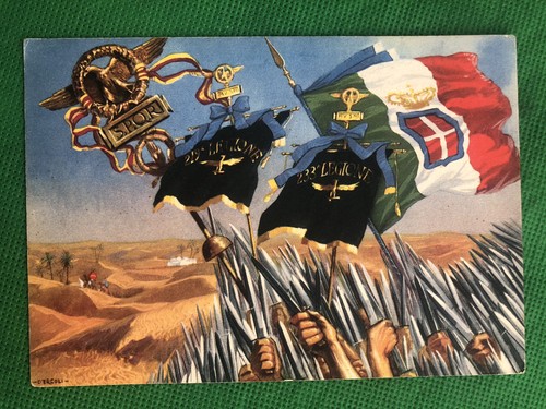 Cartolina militare milizia - cartolina,