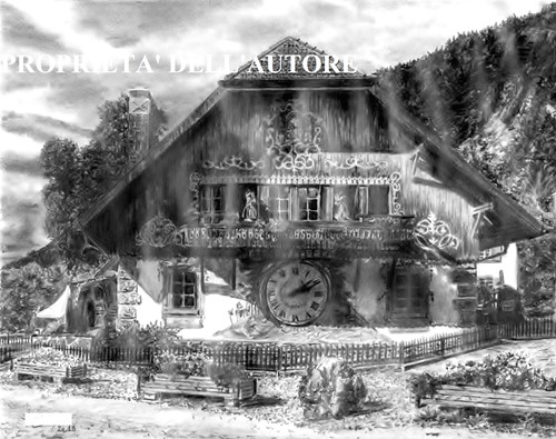 Casa dei cucu foresta nera - casa,