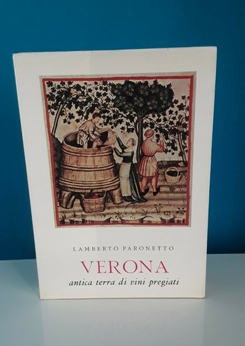 Libro verona antica - libro, terra