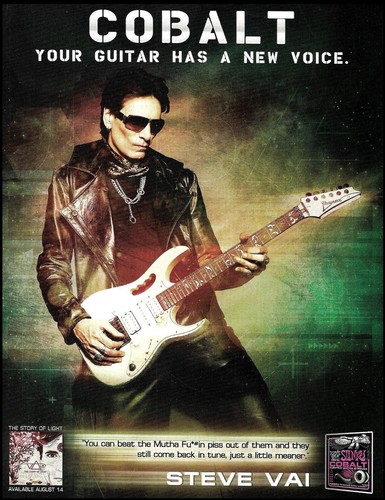 Steve vai ernie ball - ernie,