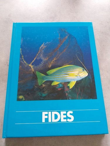 Fides mare magicum ethica - mare,