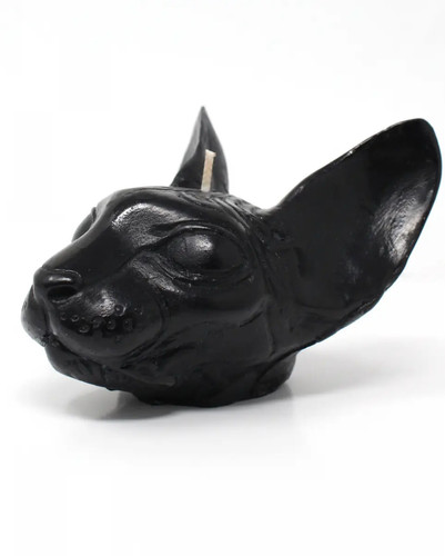 Sphynx testa gatto - di,