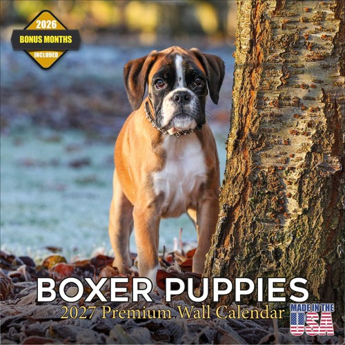 Boxer cuccioli 2027 calendario - cuccioli,