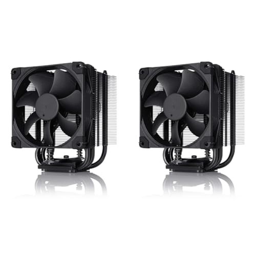 Noctua - (tg., 2)