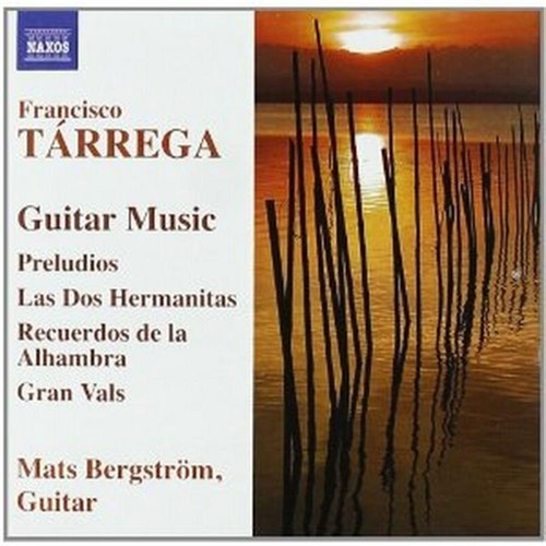 Musica per chitarra preludi - musica,