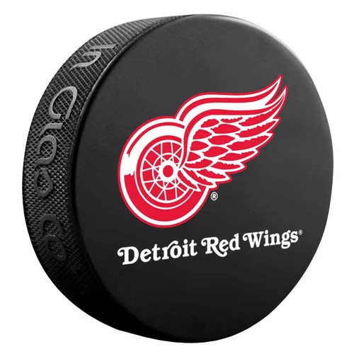 Detroit red wings team - detroit,
