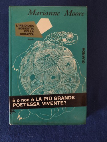 Storia fantastica william - storia,