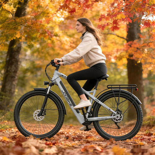 Joobike pollici mountain - 29,