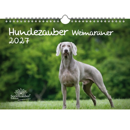 Magia per cani weimaraner - magia, din