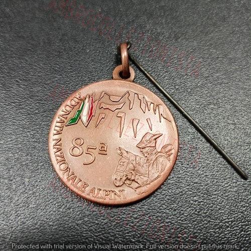 Medaglia militare ana 85 - medaglia,