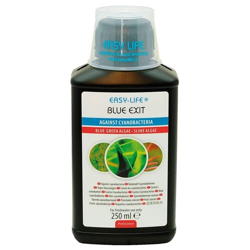 Easy life blue exit - easy-life,