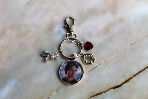 The vampire diaries borsa - the,