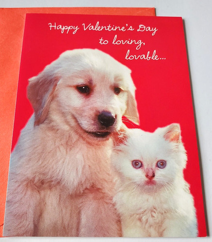 Biglietto san valentino - san,