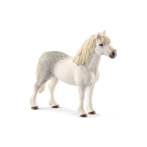 Cavallo krabby gallese pony - cavallo,