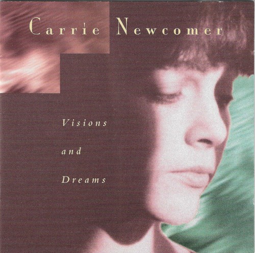 Carrie newcomer visons and - newcomer,