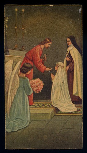 Santino holy card - santino-holy,