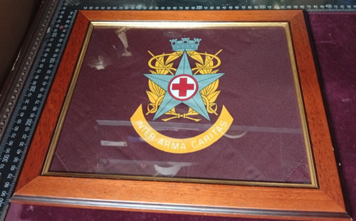 Crest corpo militare - crest,
