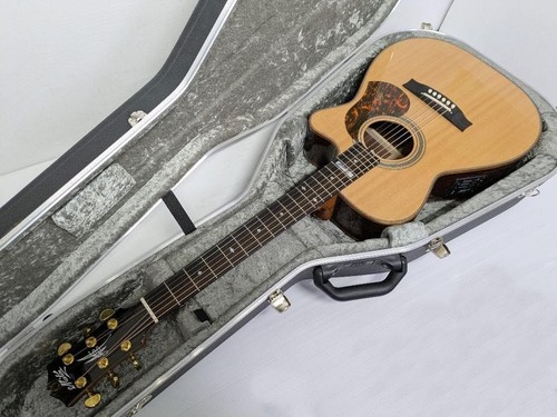 Chitarra elettrica acustica